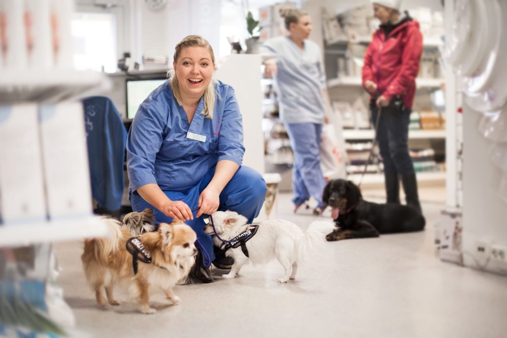 Veterinær ved Lillehammer Dyreklinikk