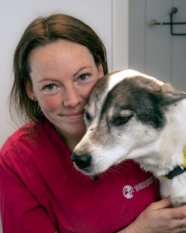 Anne Lene Antonsen, Klinikkassistent ved lillehammer dyreklinikk