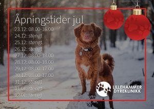 åpningstider for julen 2021