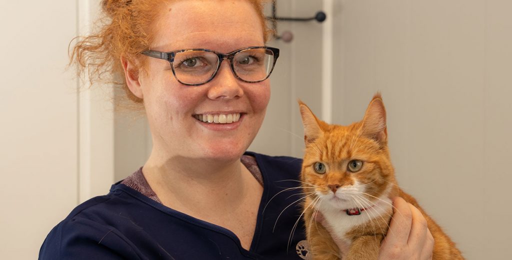 Veterinær Nora, ved lillehammer dyreklinikk, Katt og veterinær