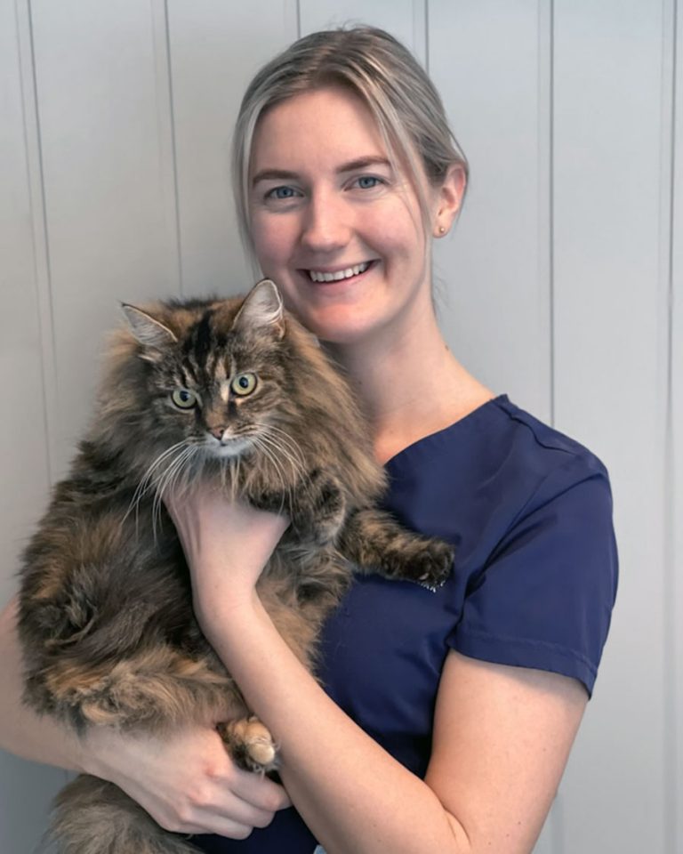 Veterinær Signe Lystad ved Lillehammer Dyreklinikk