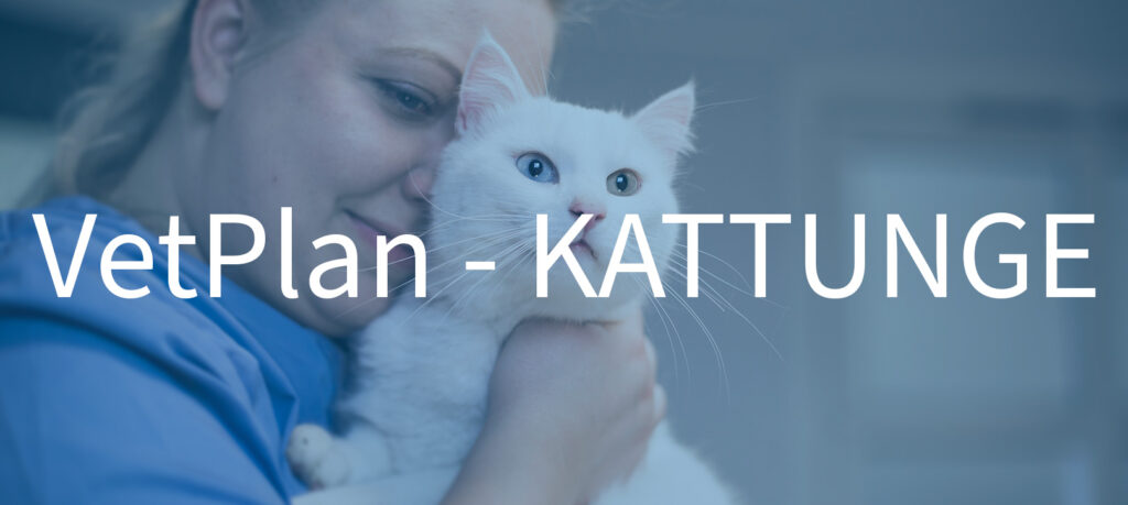 vetplan, kattunge