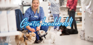 veterinær med små hunder