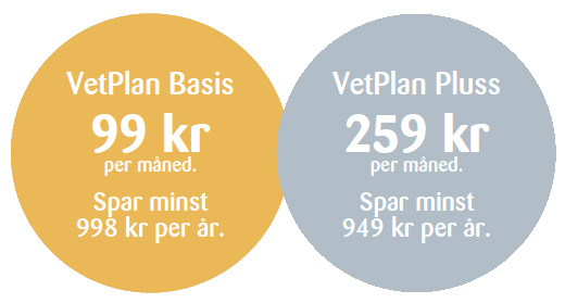 vetplan pris, katt