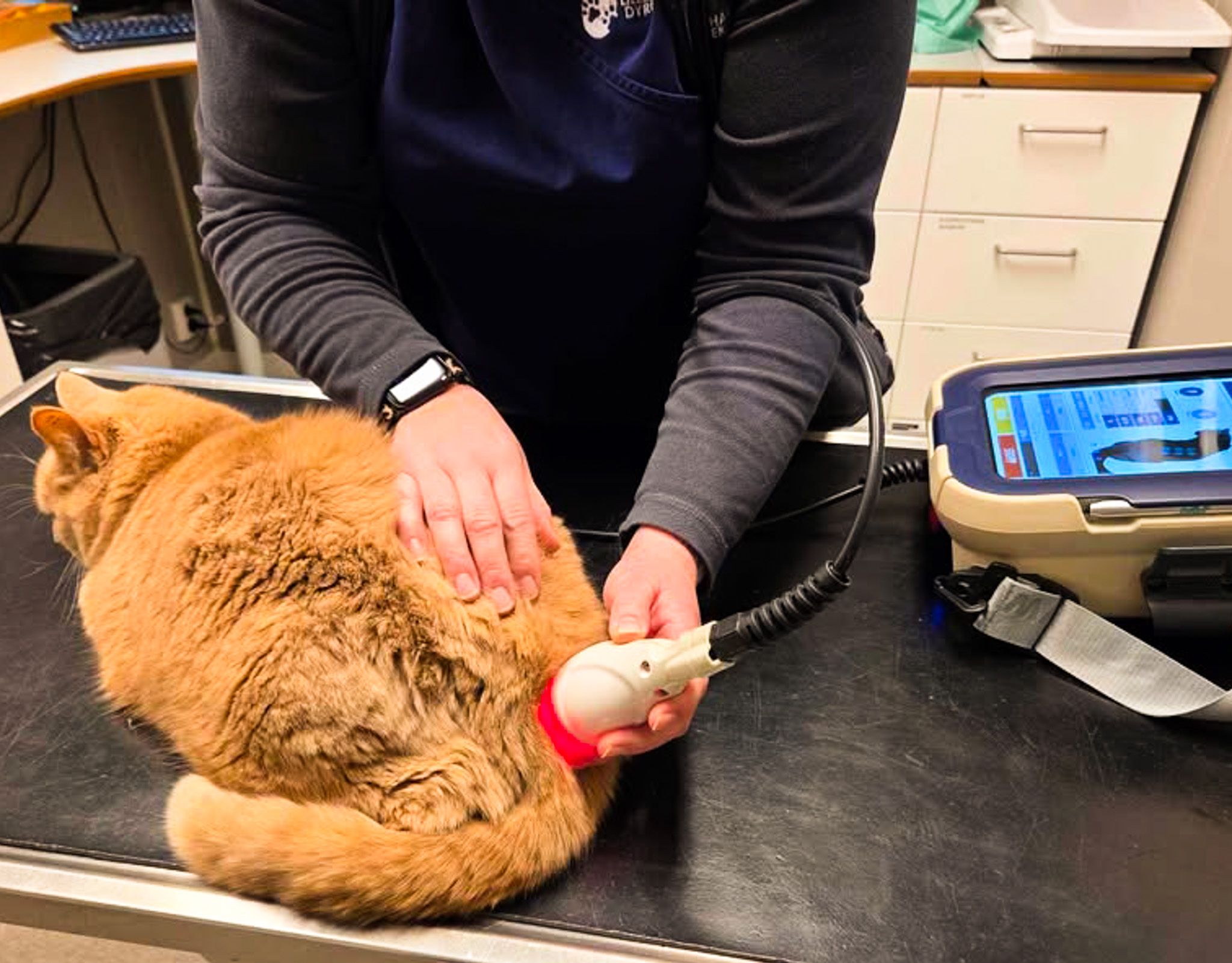 laserbehandling mot artrose