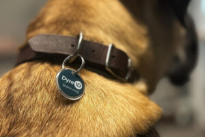 DyreID’s QR-brikke