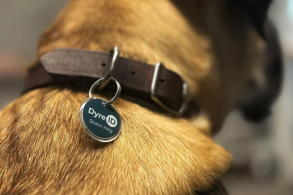 DyreID’s QR-brikke